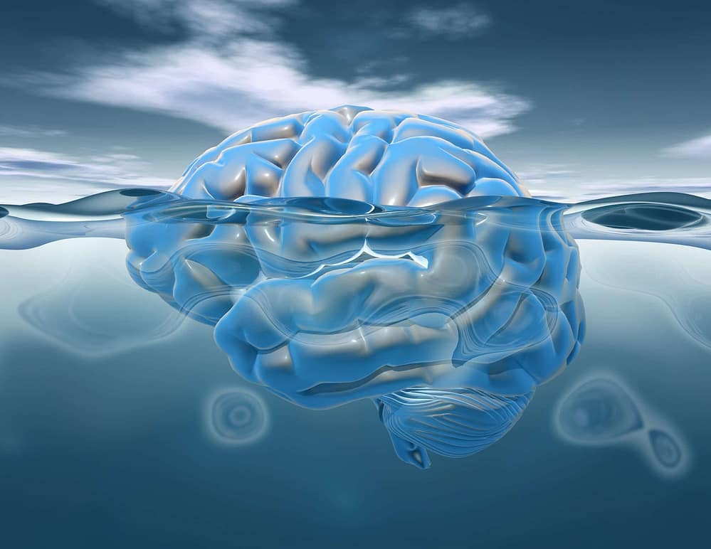 Change your paradigm and habitual behavior